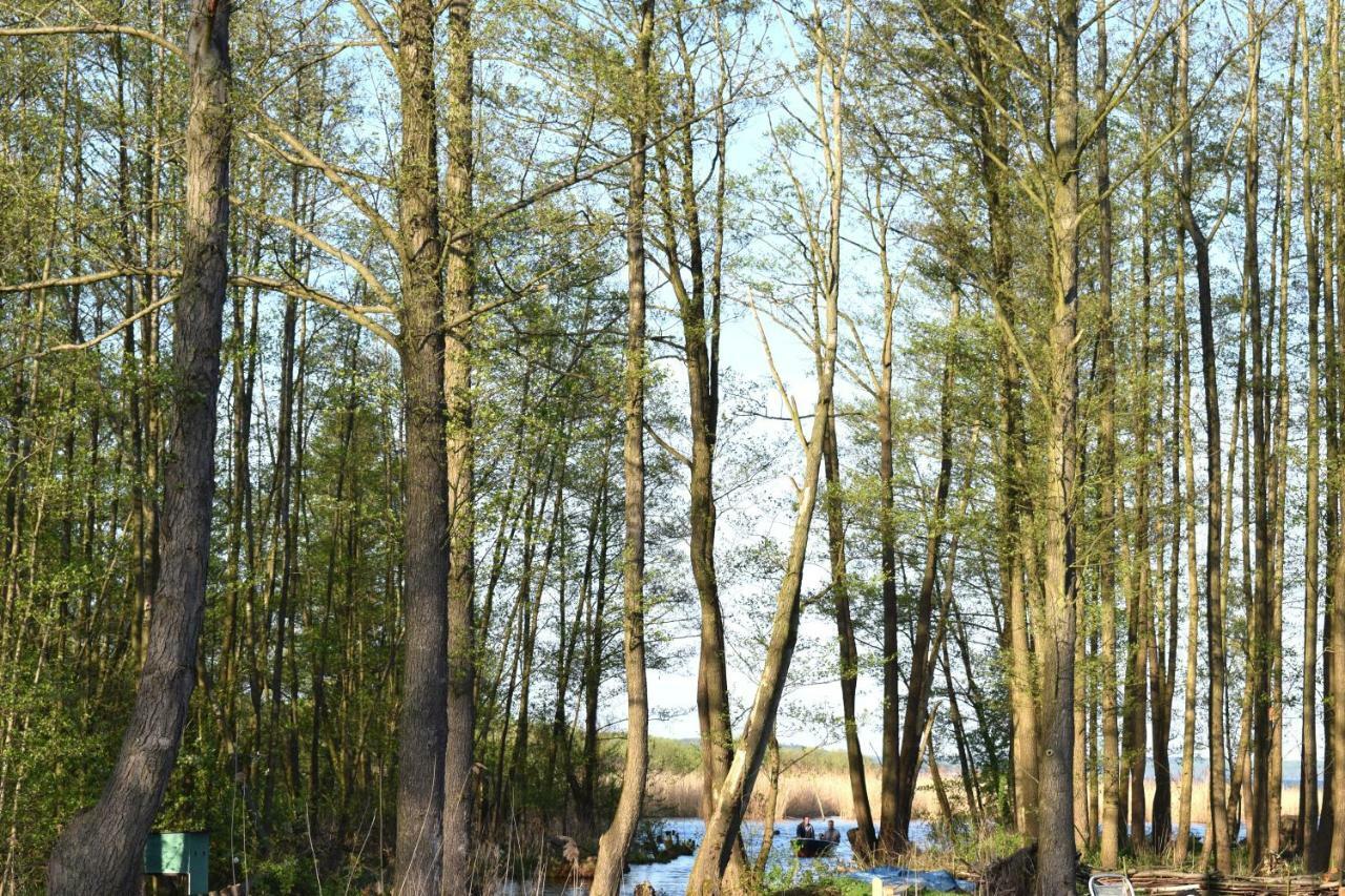 Kapluv Plau Am Plau am See